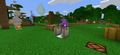 minecraft1.21国际版自制版下载-minecraft1.21国际版无限资源下载v.7.51