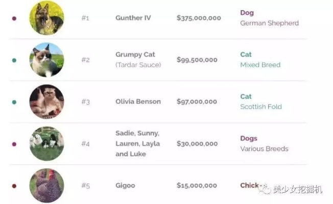 (好听的动物代号女生)20个好听的动物代号，你pick哪个？让你的ID更有个性！