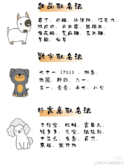 (好听的动物代号女生)20个好听的动物代号，你pick哪个？让你的ID更有个性！