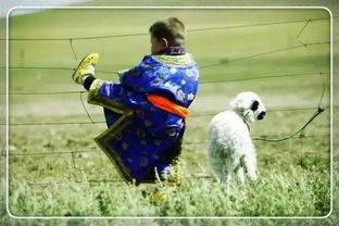 四不像正版四不像免费资料的优势|探索生活中的细腻瞬间_T.6.342 四不像正版四不像免费资料的优势|探索生活中的细腻瞬间_T.6.342