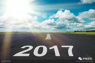 2024年四不像图库|把握核心问题的解答与落实_Z.2.421