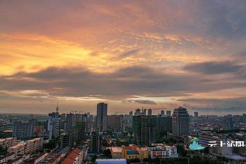 新奥彩今天最新消息查询|探寻城市中的隐秘美景_FHD品.6.923